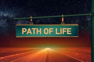 Know the Significance : LIfe Path